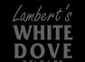 Lambert's White Dove Release